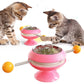 Rotatable Cat Interactive Training Toy