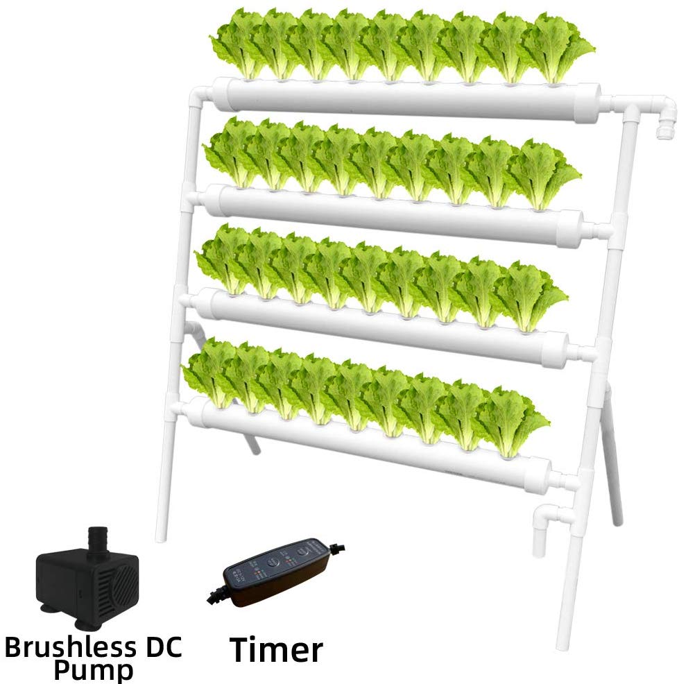 Hydroponic Plant Growing System
