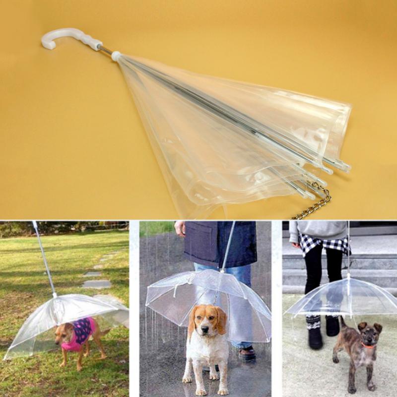 Transparent Dog Umbrella with Dog Leads