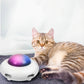 Cat UFO Interactive Teaser Toy