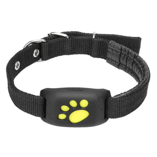 Cats GPS Tracker Collar