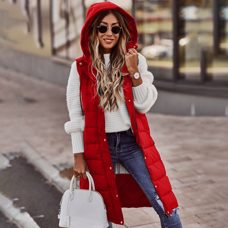 Women's  Comfortable Street Style Pocket Outdoor Daily Wear Vacation Going out Coat Fall Winter